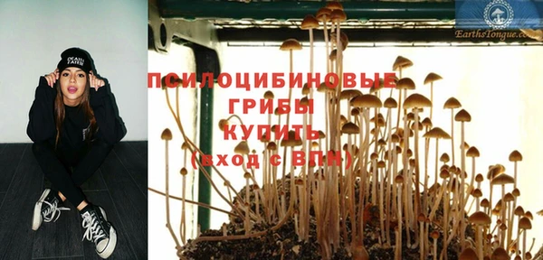 амф Аркадак