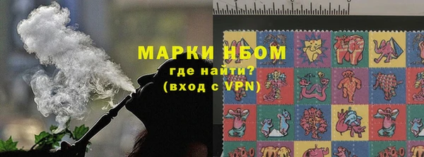 амф Аркадак
