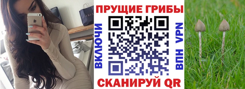 MEGA ONION  Сосногорск  Псилоцибиновые грибы прущие грибы 